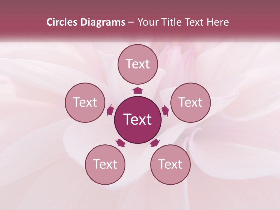 Unit White Condition PowerPoint Template