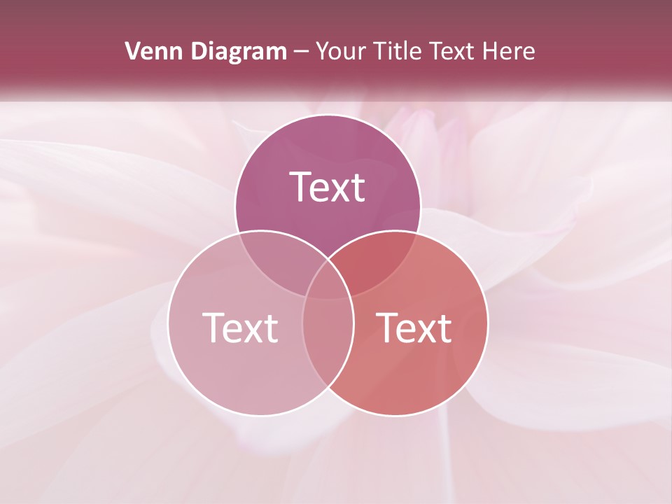 Unit White Condition PowerPoint Template