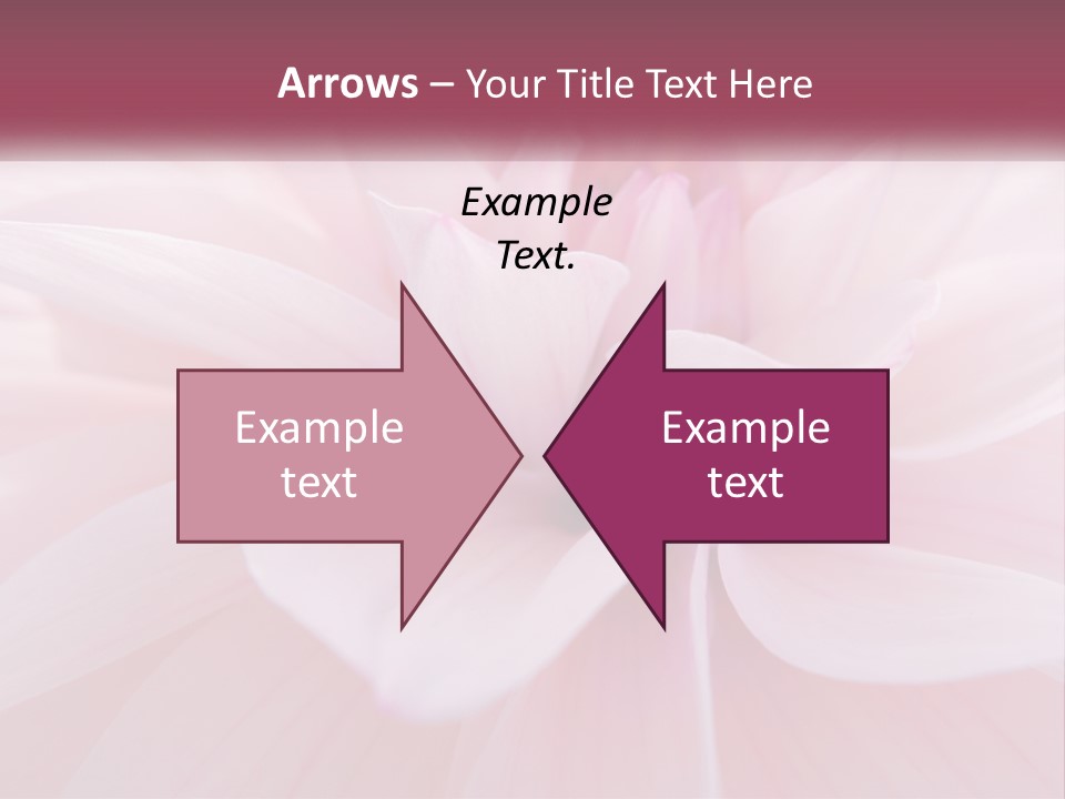 Unit White Condition PowerPoint Template