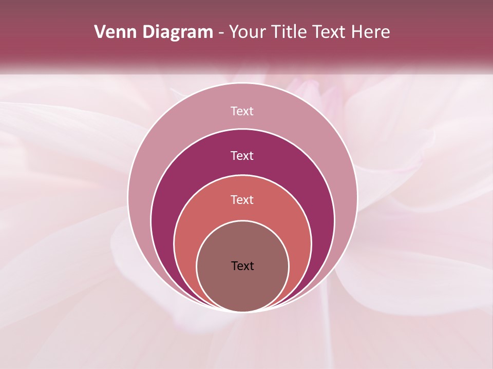 Unit White Condition PowerPoint Template