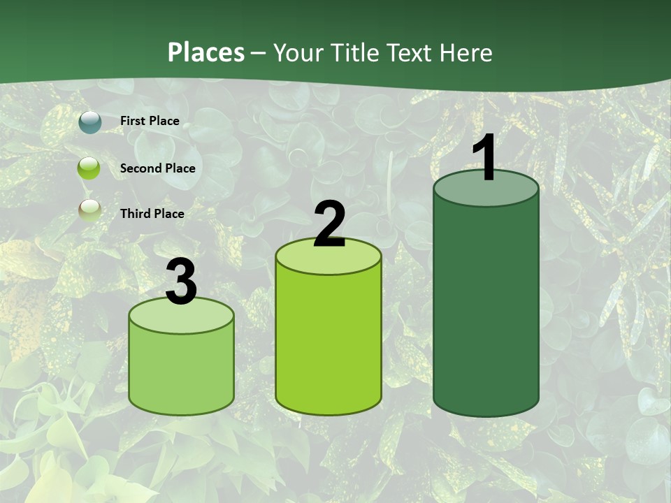 Supply White Home PowerPoint Template