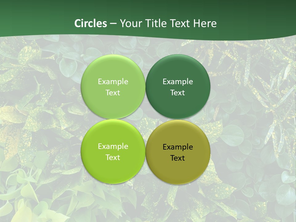 Supply White Home PowerPoint Template