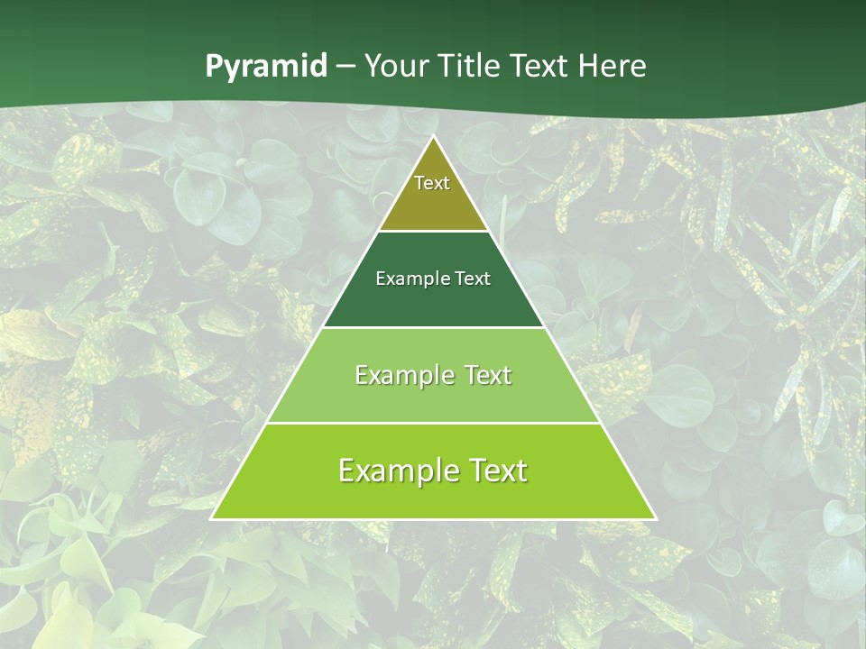 Supply White Home PowerPoint Template