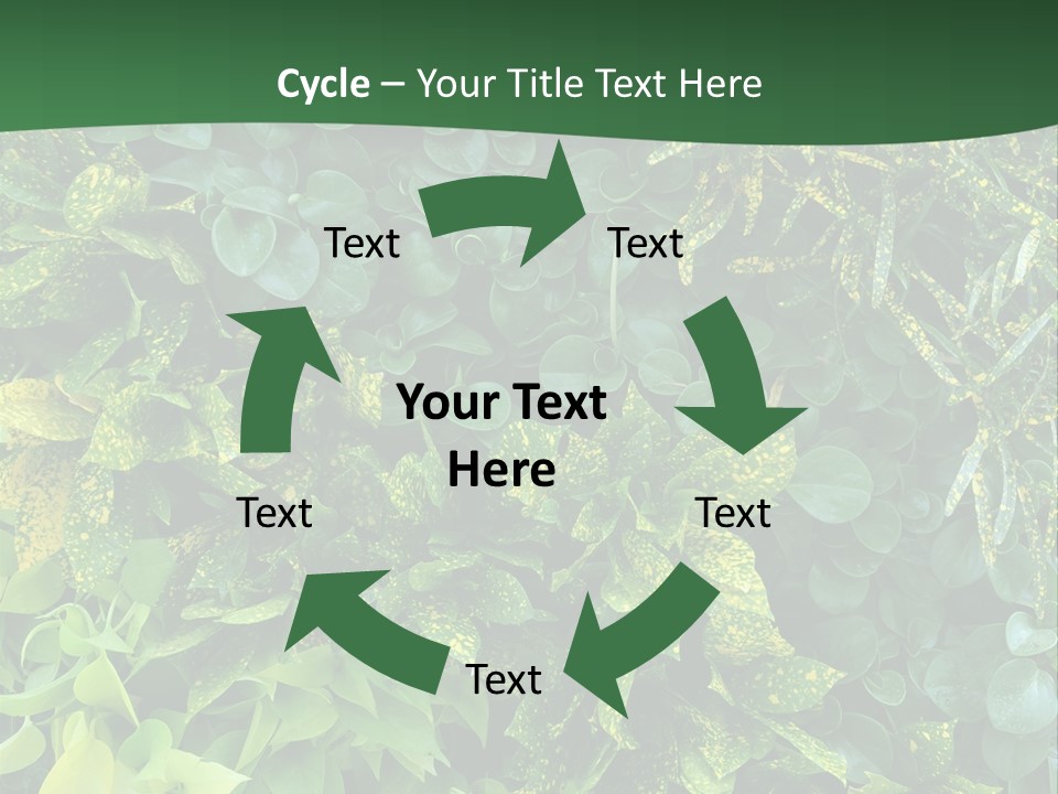 Supply White Home PowerPoint Template