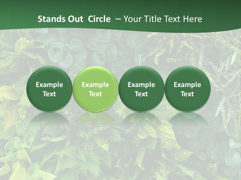 Supply White Home PowerPoint Template