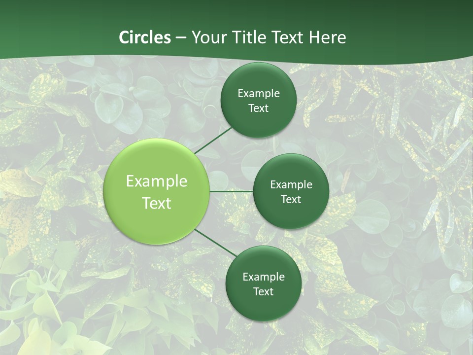 Supply White Home PowerPoint Template