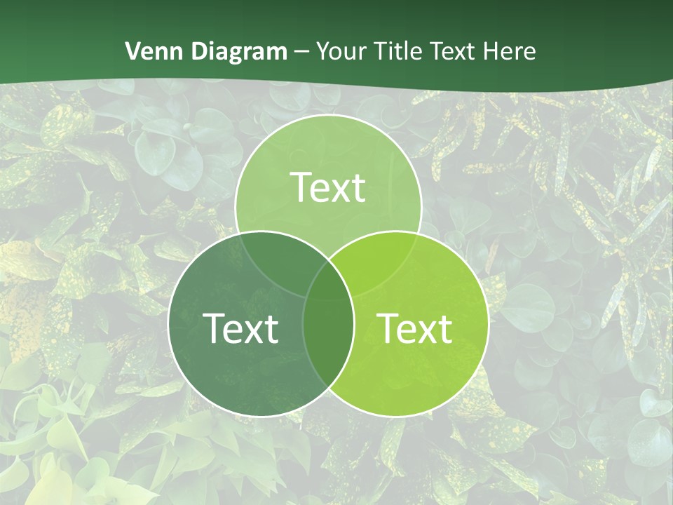 Supply White Home PowerPoint Template