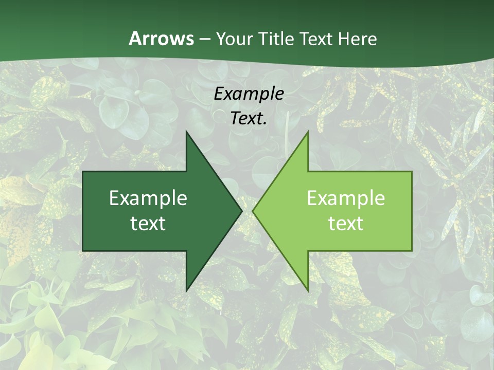 Supply White Home PowerPoint Template