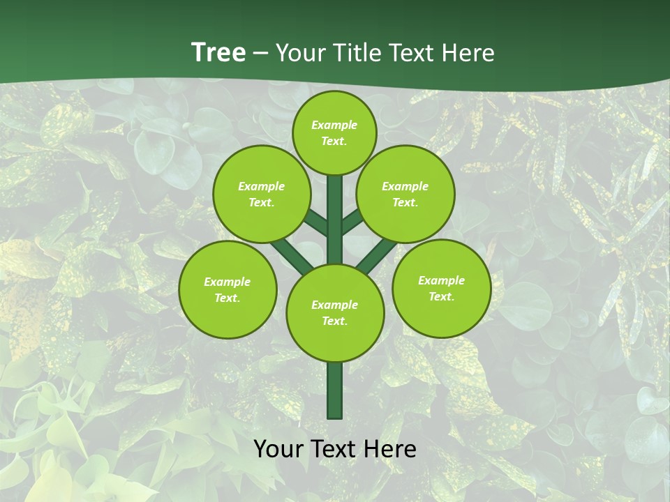 Supply White Home PowerPoint Template