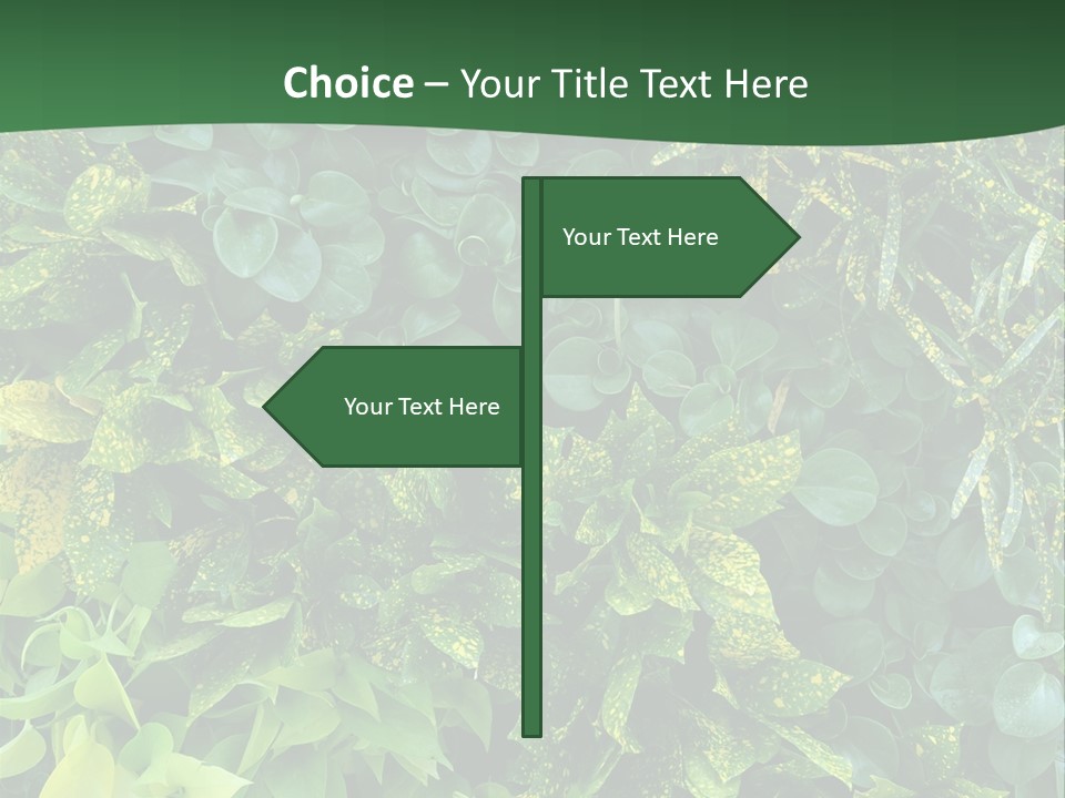 Supply White Home PowerPoint Template