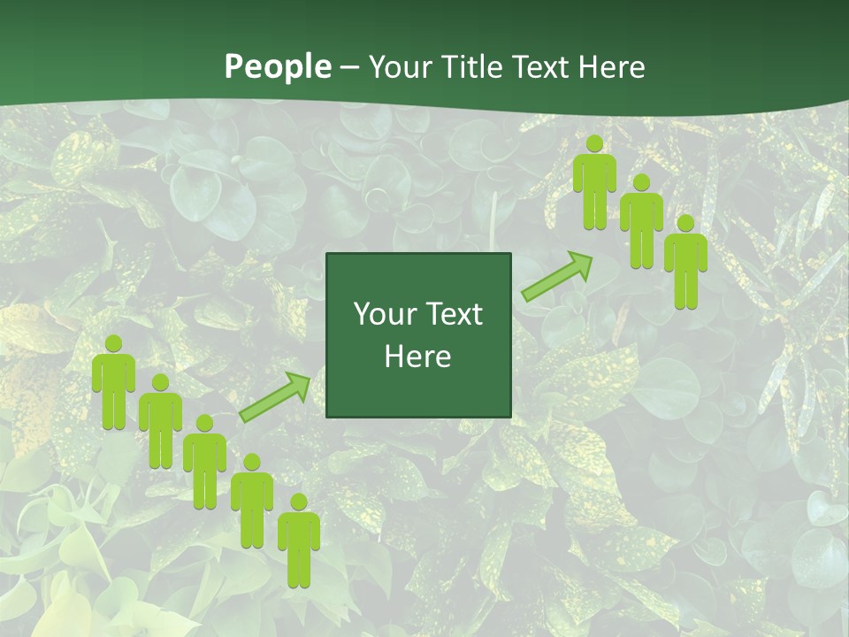 Supply White Home PowerPoint Template