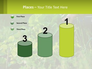 Energy Unit Cooling PowerPoint Template