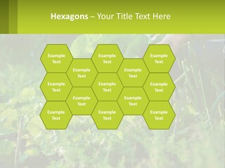 Energy Unit Cooling PowerPoint Template