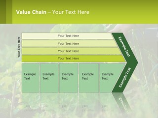 Energy Unit Cooling PowerPoint Template
