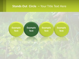 Energy Unit Cooling PowerPoint Template
