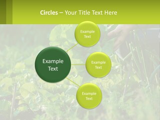 Energy Unit Cooling PowerPoint Template