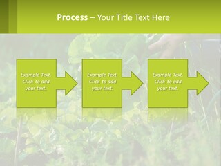 Energy Unit Cooling PowerPoint Template