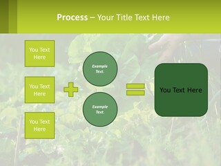 Energy Unit Cooling PowerPoint Template