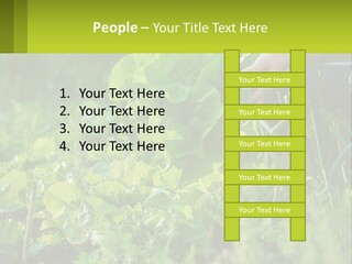Energy Unit Cooling PowerPoint Template