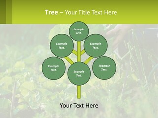 Energy Unit Cooling PowerPoint Template