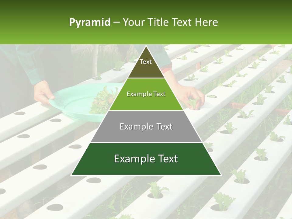 Conditioner Electricity Temperature PowerPoint Template
