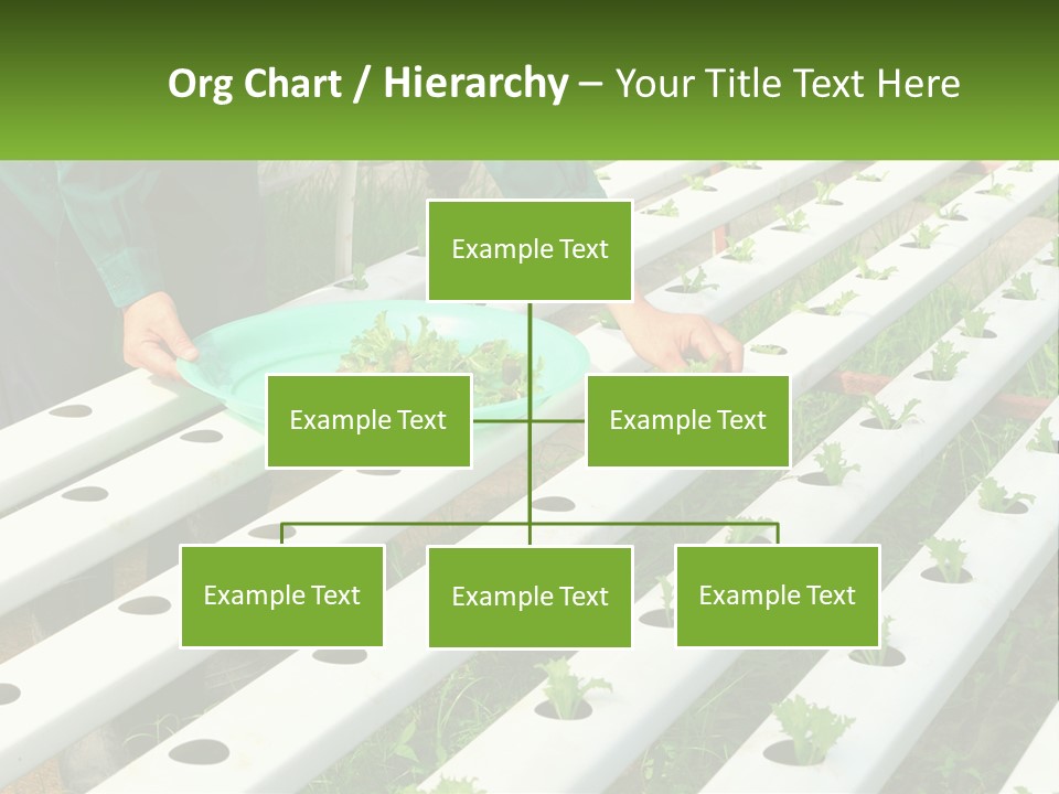 Conditioner Electricity Temperature PowerPoint Template