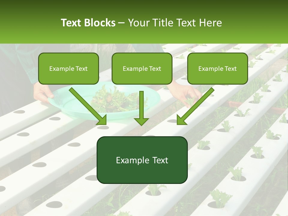 Conditioner Electricity Temperature PowerPoint Template