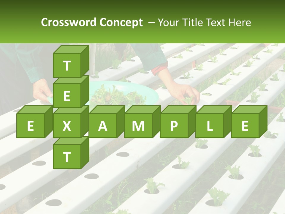 Conditioner Electricity Temperature PowerPoint Template