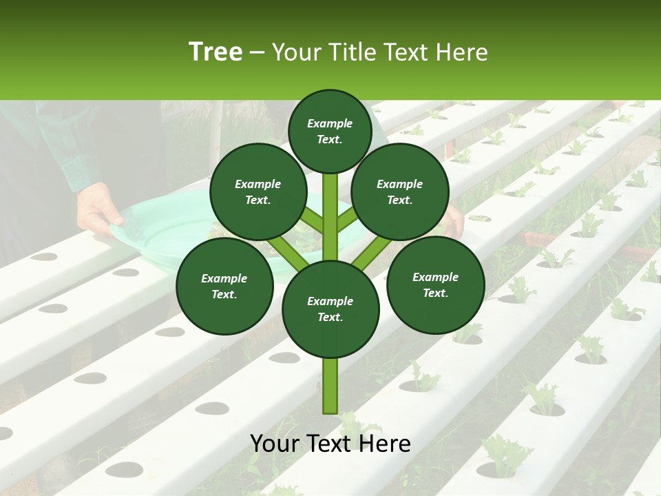 Conditioner Electricity Temperature PowerPoint Template
