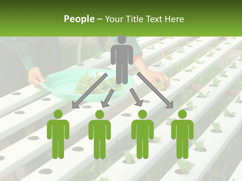 Conditioner Electricity Temperature PowerPoint Template