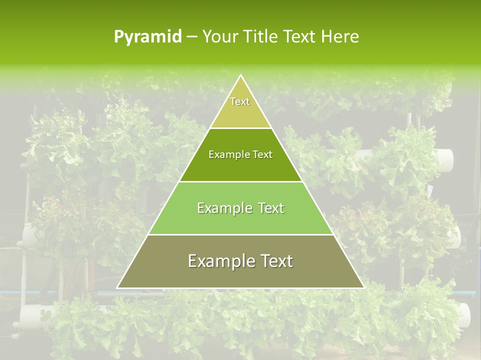 Climate Power Part PowerPoint Template