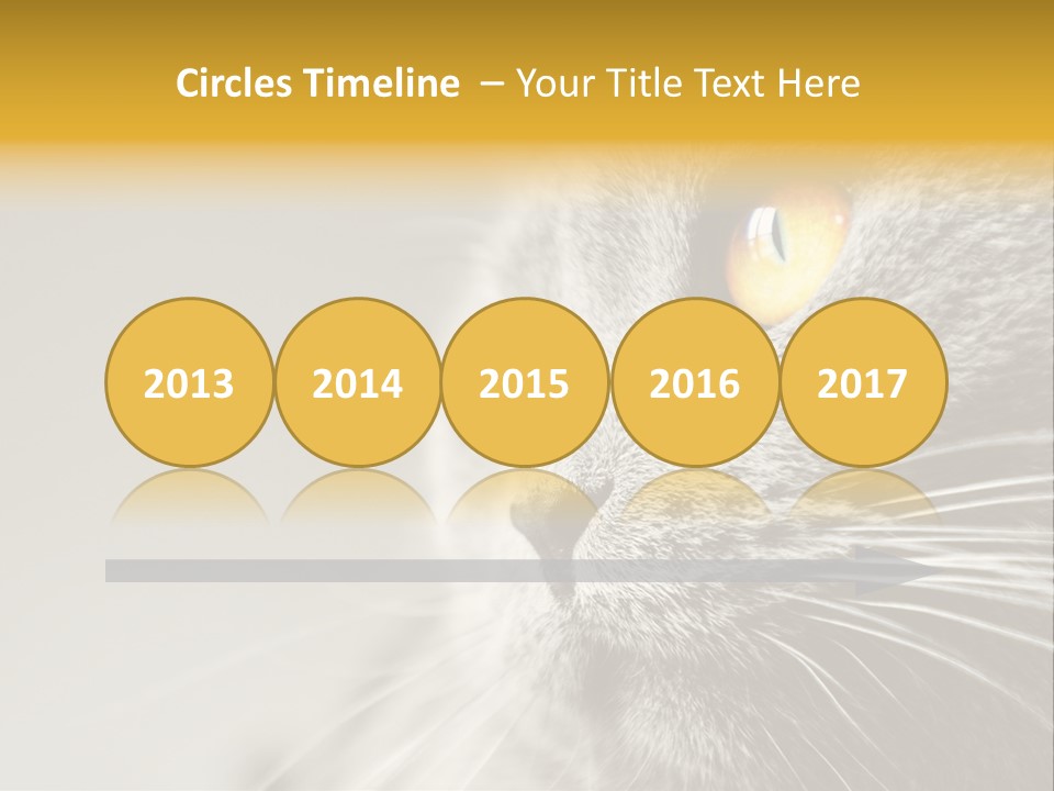 Power White Heat PowerPoint Template