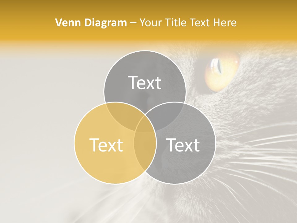 Power White Heat PowerPoint Template