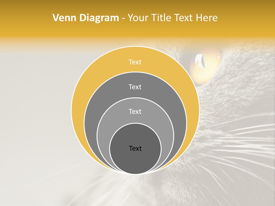 Power White Heat PowerPoint Template
