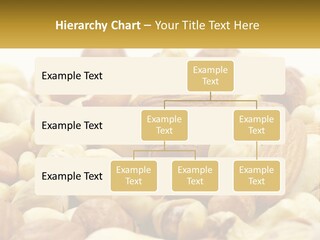 Climate Cold Conditioner PowerPoint Template