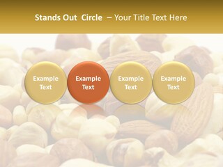 Climate Cold Conditioner PowerPoint Template