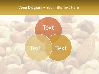 Climate Cold Conditioner PowerPoint Template