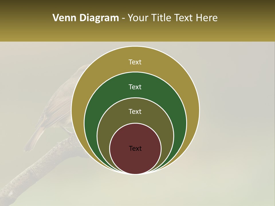 Electricity Remote House PowerPoint Template