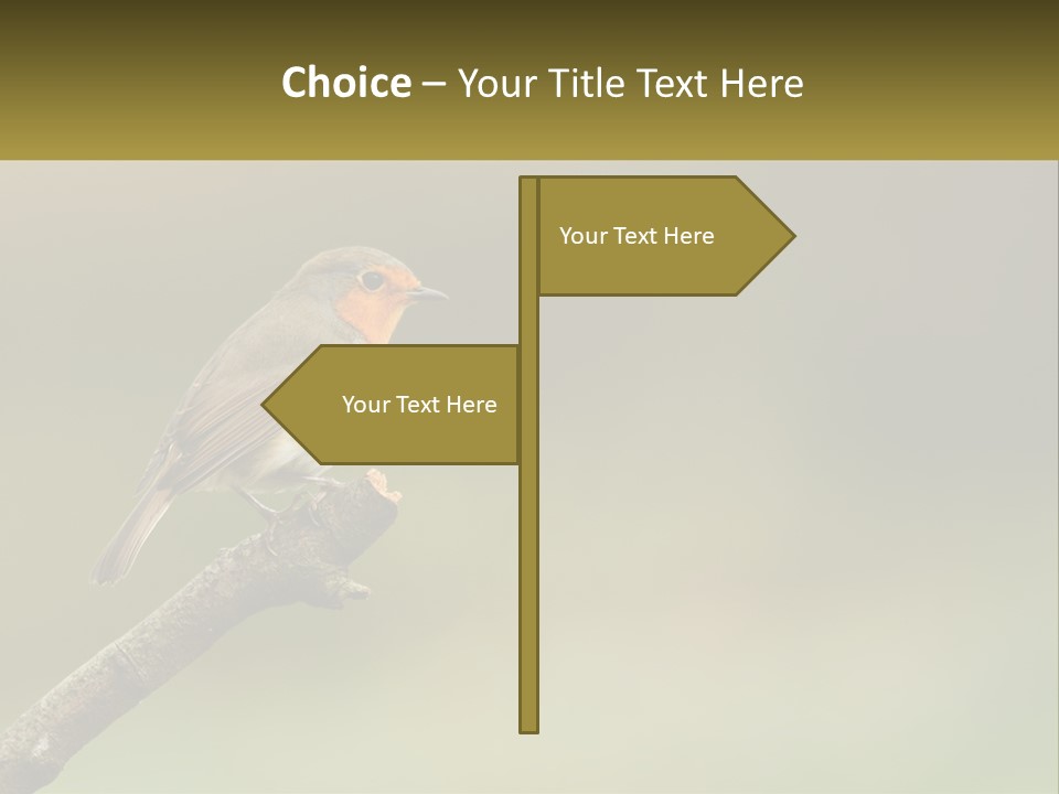 Electricity Remote House PowerPoint Template