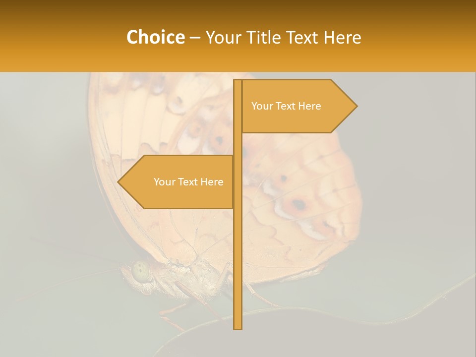 White Remote Ventilation PowerPoint Template