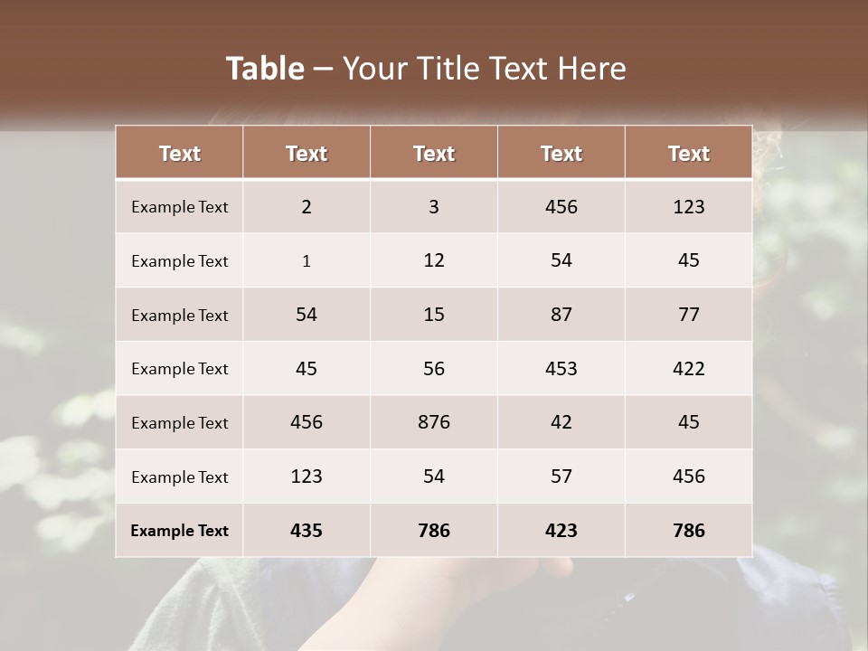 Climate Conditioner Home PowerPoint Template