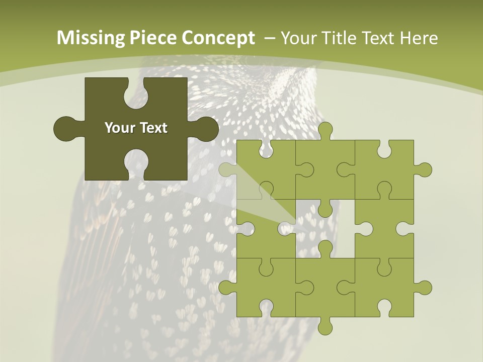 Conditioner Electric Climate PowerPoint Template