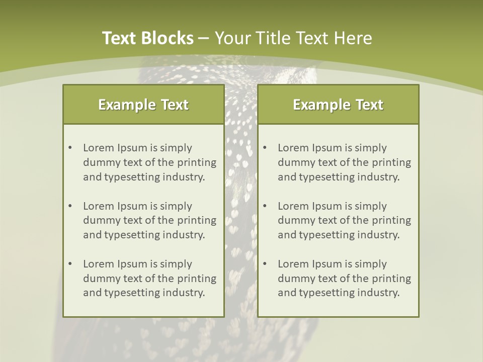 Conditioner Electric Climate PowerPoint Template