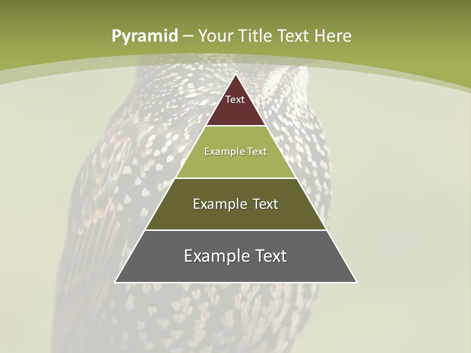 Conditioner Electric Climate PowerPoint Template