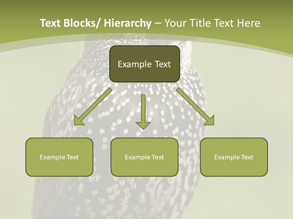Conditioner Electric Climate PowerPoint Template