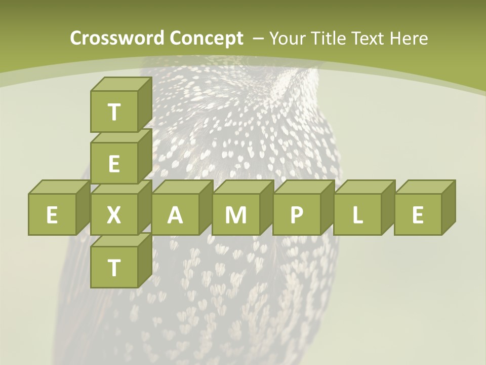 Conditioner Electric Climate PowerPoint Template