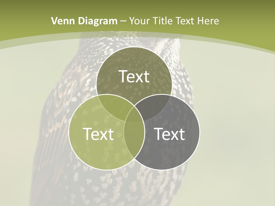 Conditioner Electric Climate PowerPoint Template