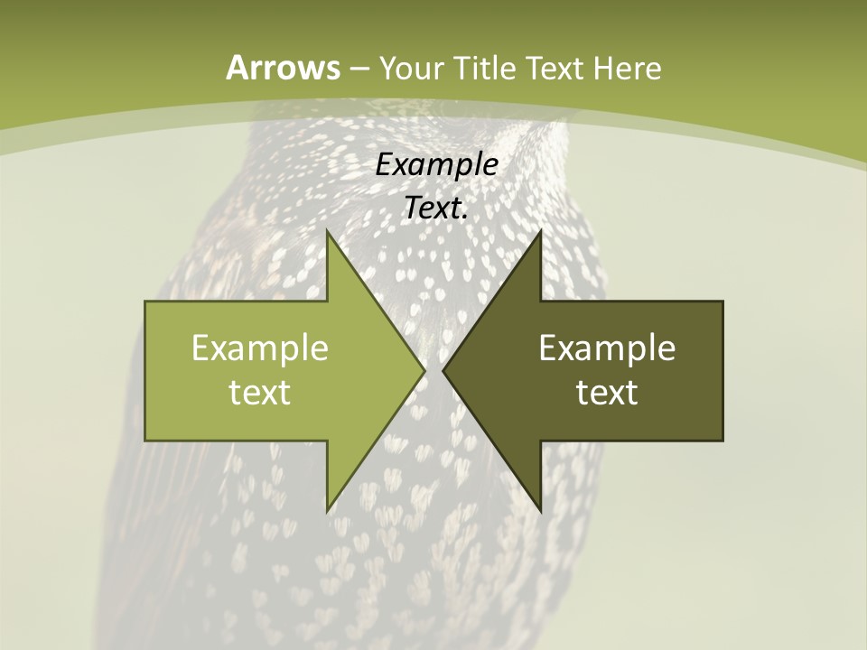 Conditioner Electric Climate PowerPoint Template