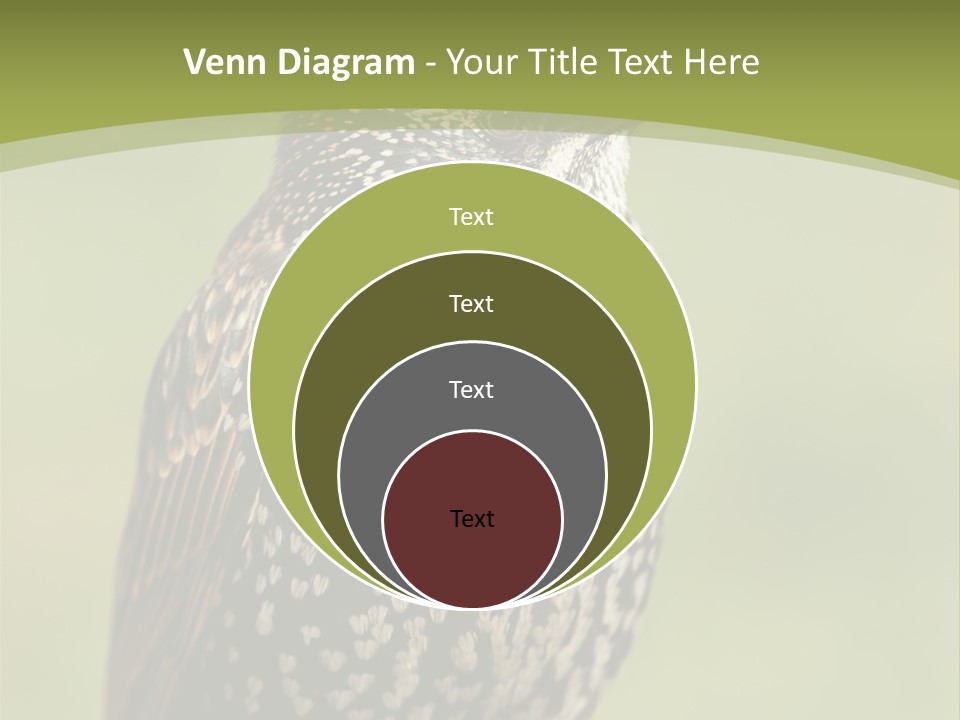 Conditioner Electric Climate PowerPoint Template