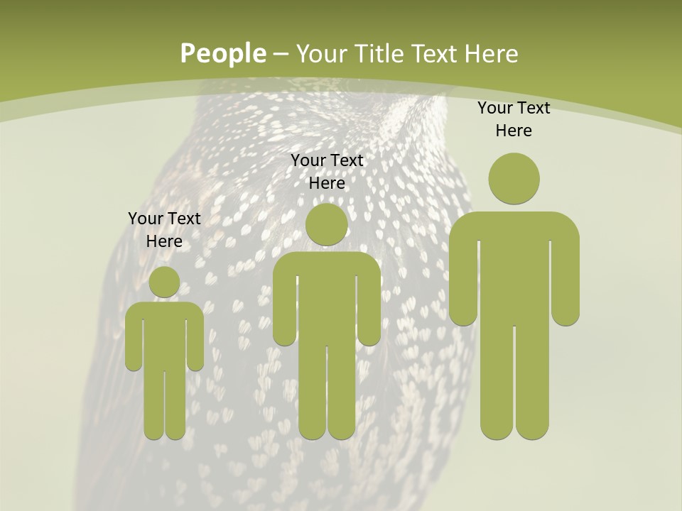 Conditioner Electric Climate PowerPoint Template
